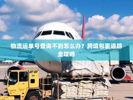 物流运单号查询不到怎么办？跨境包裹追踪全攻略