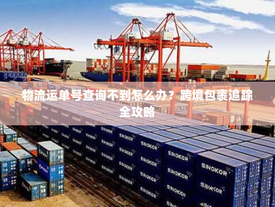 物流运单号查询不到怎么办？跨境包裹追踪全攻略