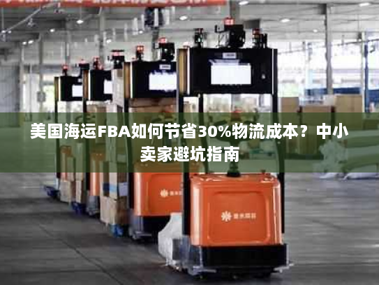 美国海运FBA如何节省30%物流成本？中小卖家避坑指南