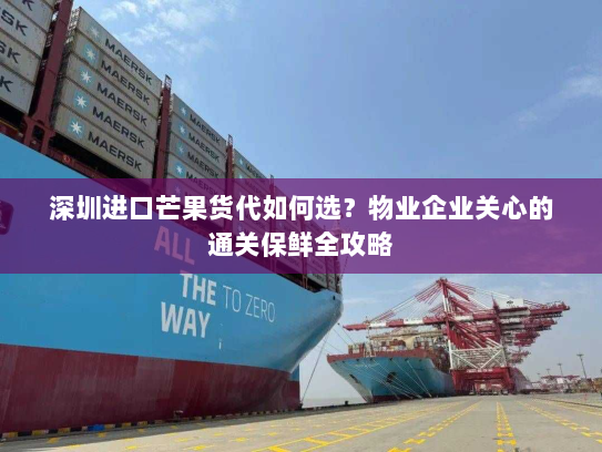 深圳进口芒果货代如何选？物业企业关心的通关保鲜全攻略