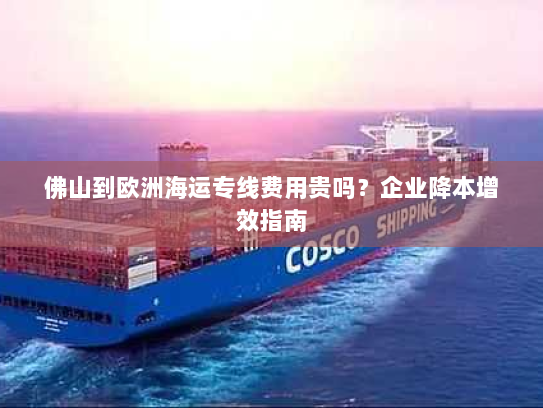 佛山到欧洲海运专线费用贵吗？企业降本增效指南