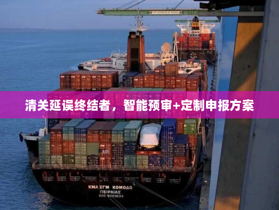 清关延误终结者,智能预审+定制申报方案 清关延误终结者,智能预审+定制申报方案