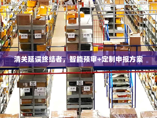 清关延误终结者,智能预审+定制申报方案 清关延误终结者,智能预审+定制申报方案