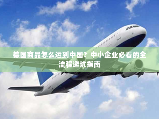 德国商品怎么运到中国？中小企业必看的全流程避坑指南