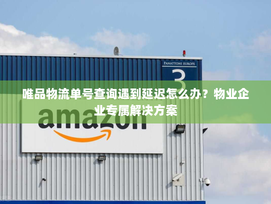 唯品物流单号查询遇到延迟怎么办？物业企业专属解决方案