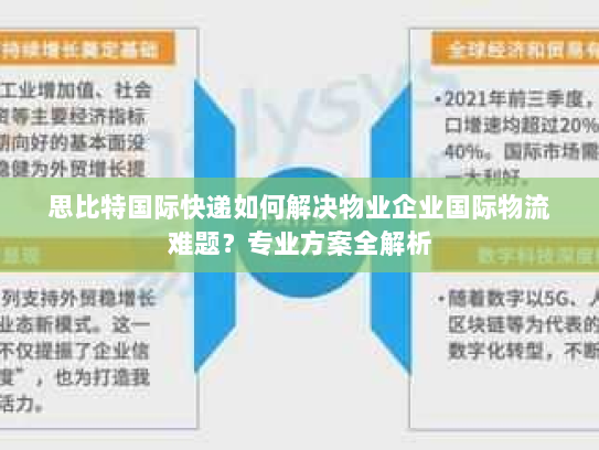 思比特国际快递如何解决物业企业国际物流难题？专业方案全解析