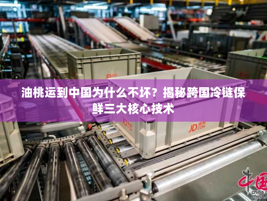 油桃运到中国为什么不坏？揭秘跨国冷链保鲜三大核心技术