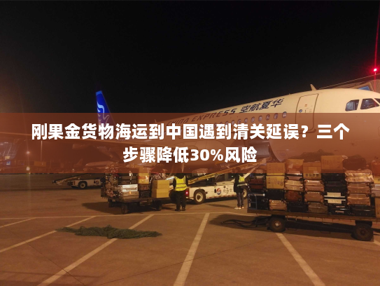 刚果金货物海运到中国遇到清关延误？三个步骤降低30%风险