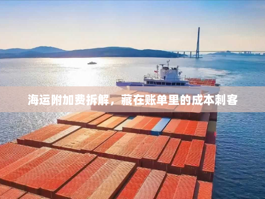 海运附加费拆解，藏在账单里的成本刺客