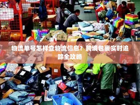 物流单号怎样查物流信息？跨境包裹实时追踪全攻略