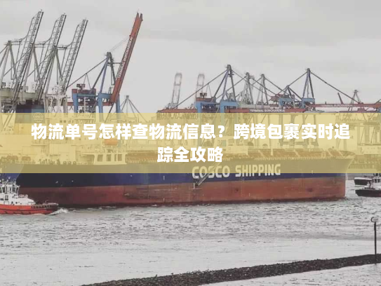 物流单号怎样查物流信息？跨境包裹实时追踪全攻略