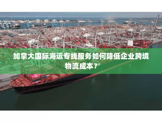 加拿大国际海运专线服务如何降低企业跨境物流成本？