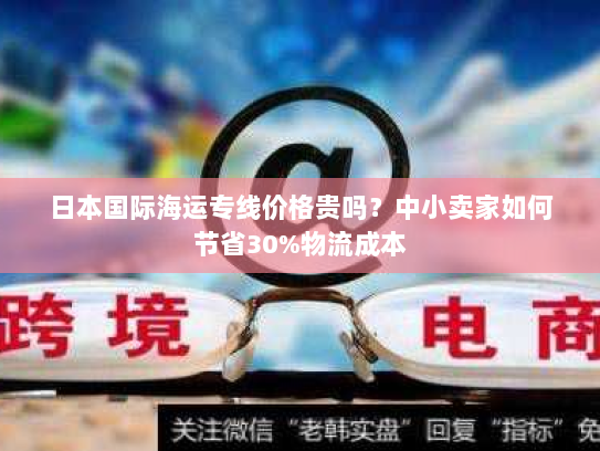 日本国际海运专线价格贵吗？中小卖家如何节省30%物流成本