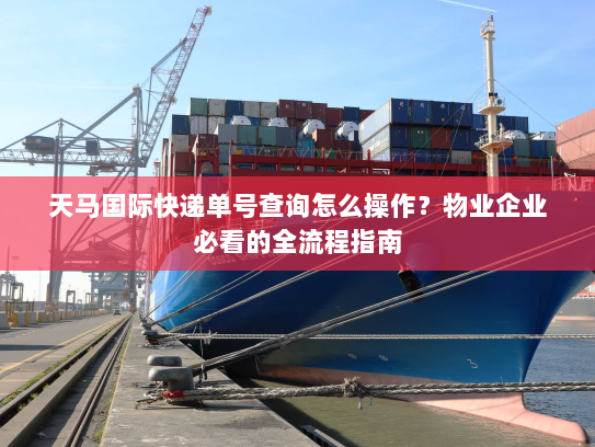 天马国际快递单号查询怎么操作？物业企业必看的全流程指南