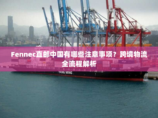 Fennec直邮中国有哪些注意事项？跨境物流全流程解析