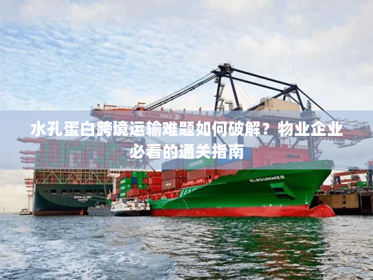 水孔蛋白跨境运输难题如何破解？物业企业必看的通关指南