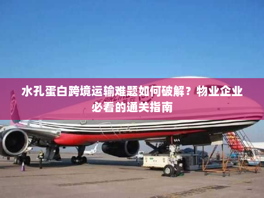 水孔蛋白跨境运输难题如何破解？物业企业必看的通关指南