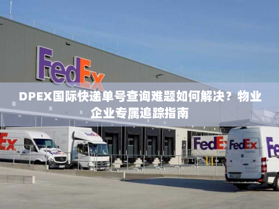 DPEX国际快递单号查询难题如何解决？物业企业专属追踪指南