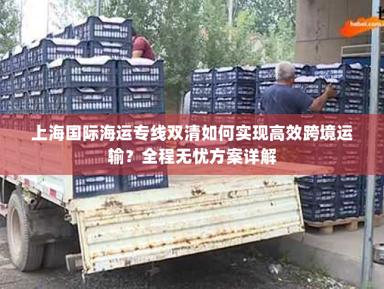 上海国际海运专线双清如何实现高效跨境运输？全程无忧方案详解