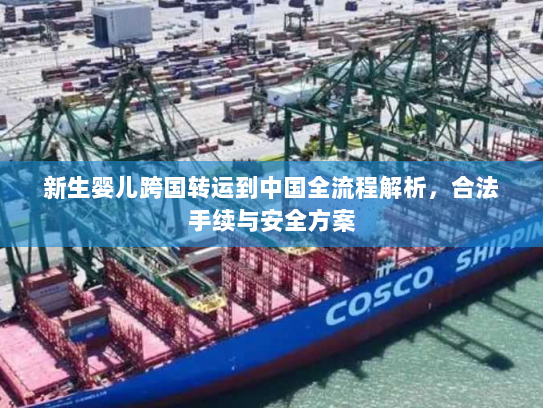 新生婴儿跨国转运到中国全流程解析,合法手续与安全方案 新生婴儿跨国转运到中国全流程解析,合法手续与安全方案