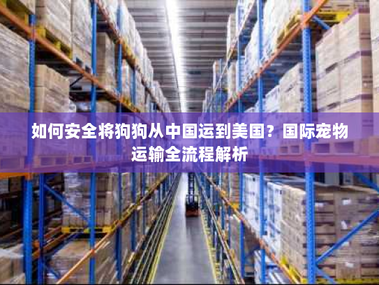 如何安全将狗狗从中国运到美国?国际宠物运输全流程解析 如何安全将狗狗从中国运到美国?国际宠物运输全流程解析