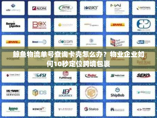 鲸鱼物流单号查询卡壳怎么办？物业企业如何10秒定位跨境包裹