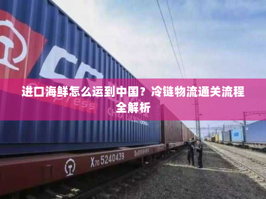 进口海鲜怎么运到中国？冷链物流通关流程全解析