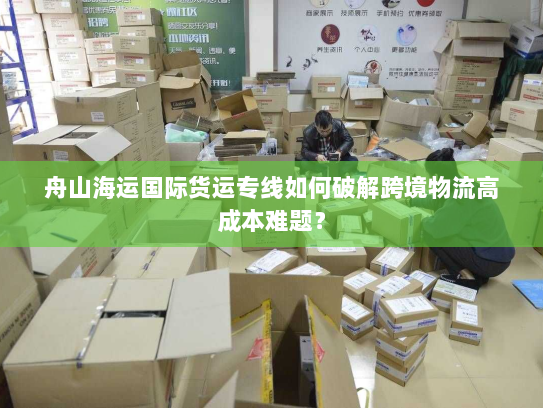 舟山海运国际货运专线如何破解跨境物流高成本难题？