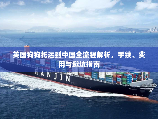 英国狗狗托运到中国全流程解析，手续、费用与避坑指南