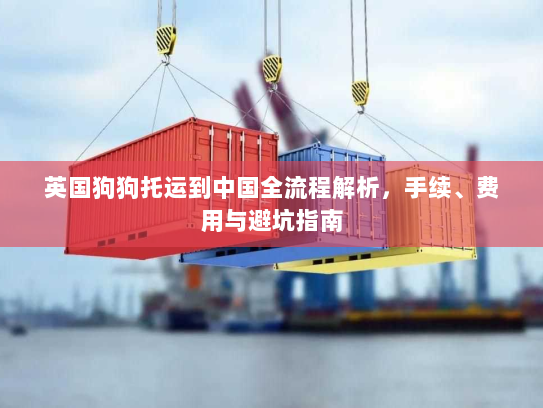 英国狗狗托运到中国全流程解析，手续、费用与避坑指南