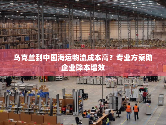 乌克兰到中国海运物流成本高？专业方案助企业降本增效
