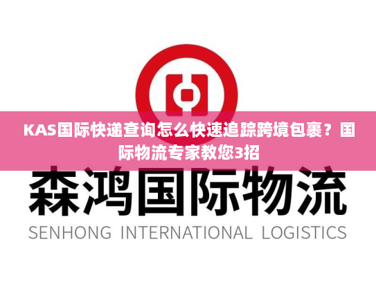KAS国际快递查询怎么快速追踪跨境包裹？国际物流专家教您3招