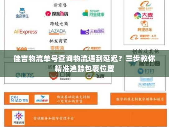 佳吉物流单号查询物流遇到延迟？三步教你精准追踪包裹位置
