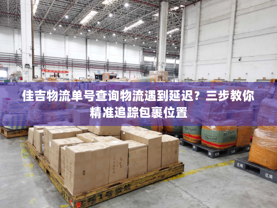 佳吉物流单号查询物流遇到延迟？三步教你精准追踪包裹位置