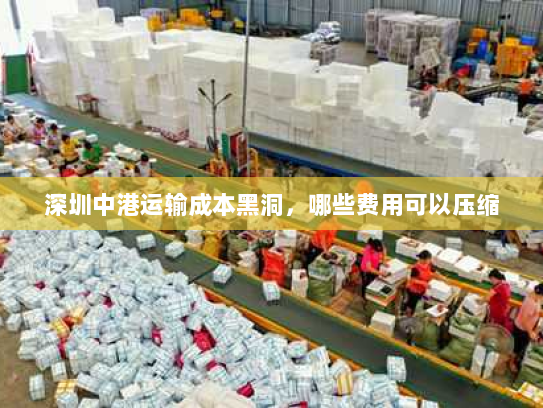 深圳中港运输成本黑洞，哪些费用可以压缩