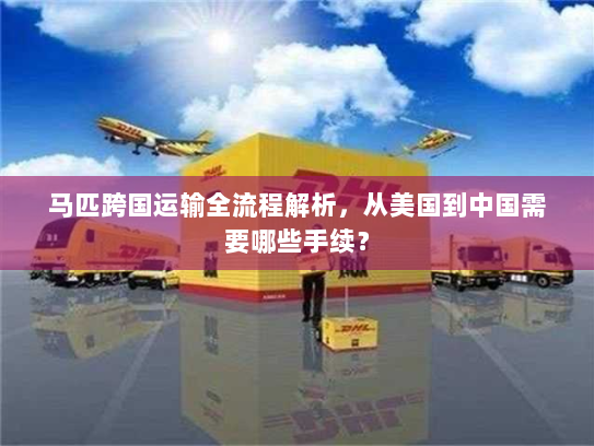 马匹跨国运输全流程解析，从美国到中国需要哪些手续？