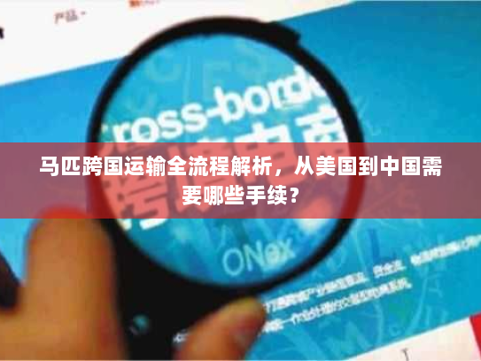 马匹跨国运输全流程解析，从美国到中国需要哪些手续？