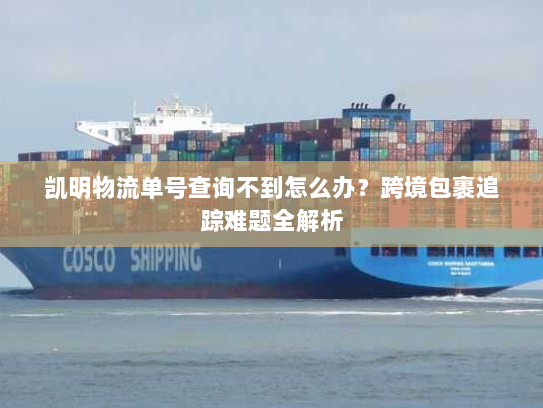 凯明物流单号查询不到怎么办？跨境包裹追踪难题全解析