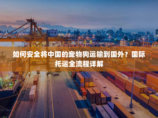 如何安全将中国的宠物狗运输到国外?国际托运全流程详解 如何安全将中国的宠物狗运输到国外?国际托运全流程详解