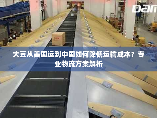 大豆从美国运到中国如何降低运输成本？专业物流方案解析