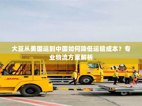 大豆从美国运到中国如何降低运输成本？专业物流方案解析