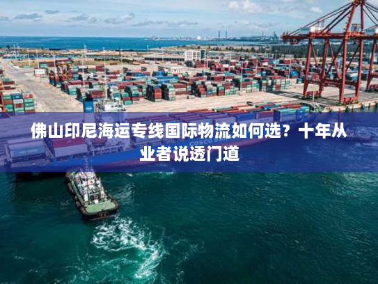 佛山印尼海运专线国际物流如何选？十年从业者说透门道