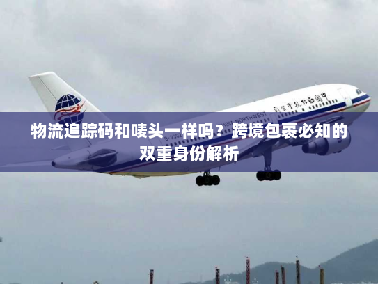 物流追踪码和唛头一样吗？跨境包裹必知的双重身份解析