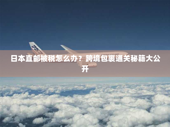 日本直邮被税怎么办？跨境包裹通关秘籍大公开