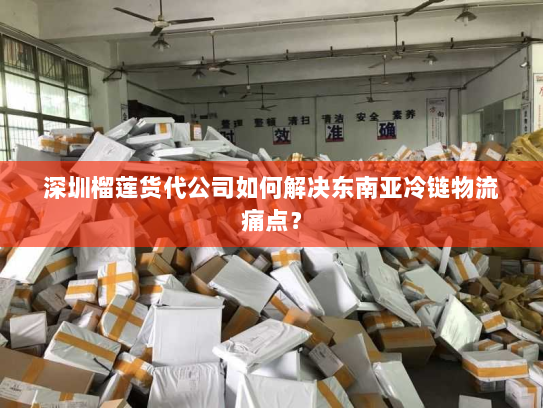 深圳榴莲货代公司如何解决东南亚冷链物流痛点？