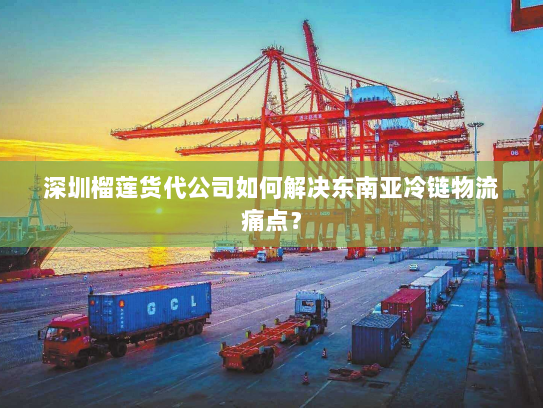 深圳榴莲货代公司如何解决东南亚冷链物流痛点？
