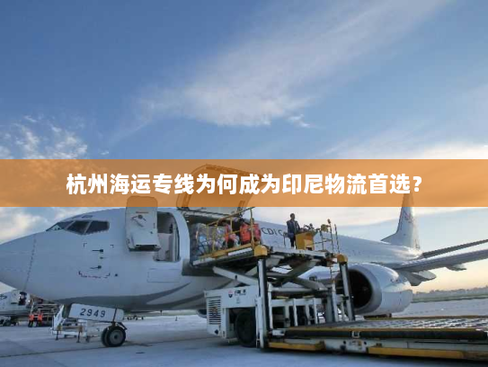 杭州海运专线为何成为印尼物流首选？