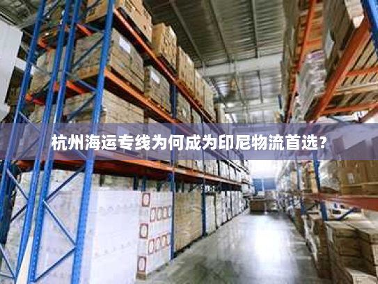 杭州海运专线为何成为印尼物流首选？