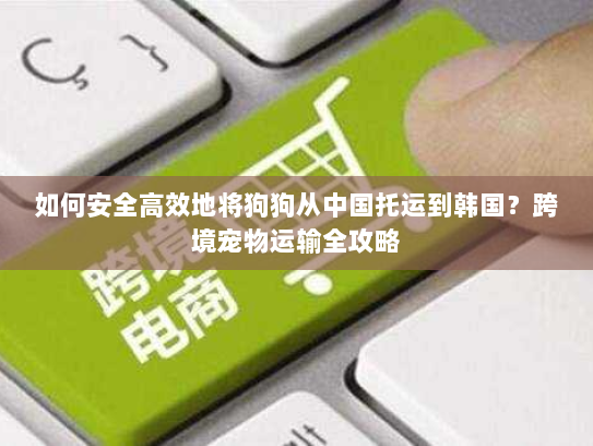 如何安全高效地将狗狗从中国托运到韩国？跨境宠物运输全攻略
