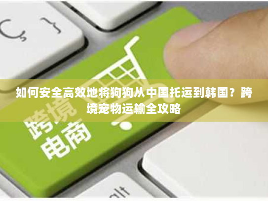 如何安全高效地将狗狗从中国托运到韩国？跨境宠物运输全攻略